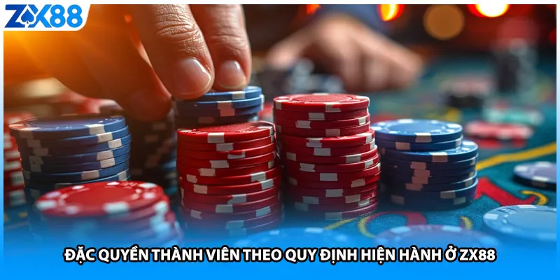 Đặc quyền thành viên theo quy định hiện hành ở ZX88